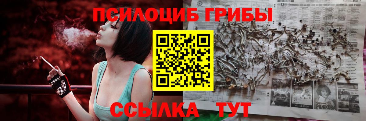 Псилоцибиновые грибы MAGIC MUSHROOMS Усть-Джегута